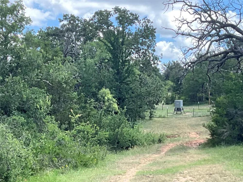 W FM 2486 Gustine, TX 76455