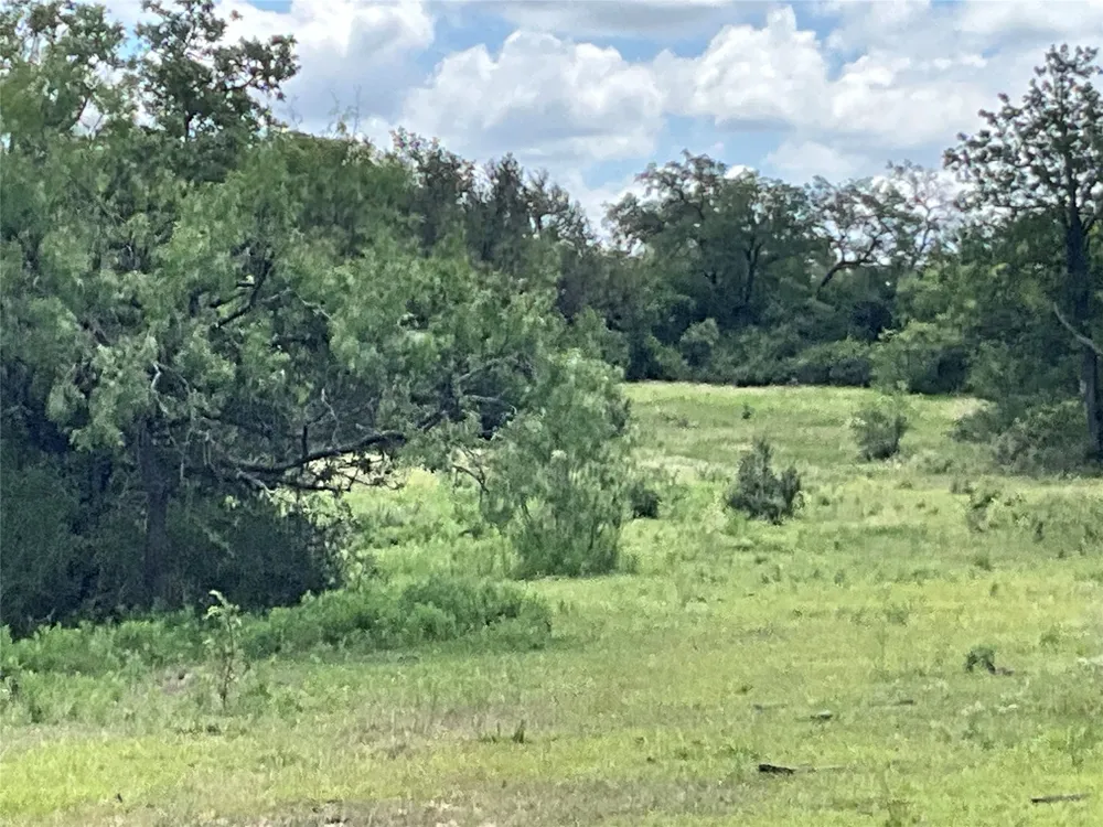 W FM 2486 Gustine, TX 76455