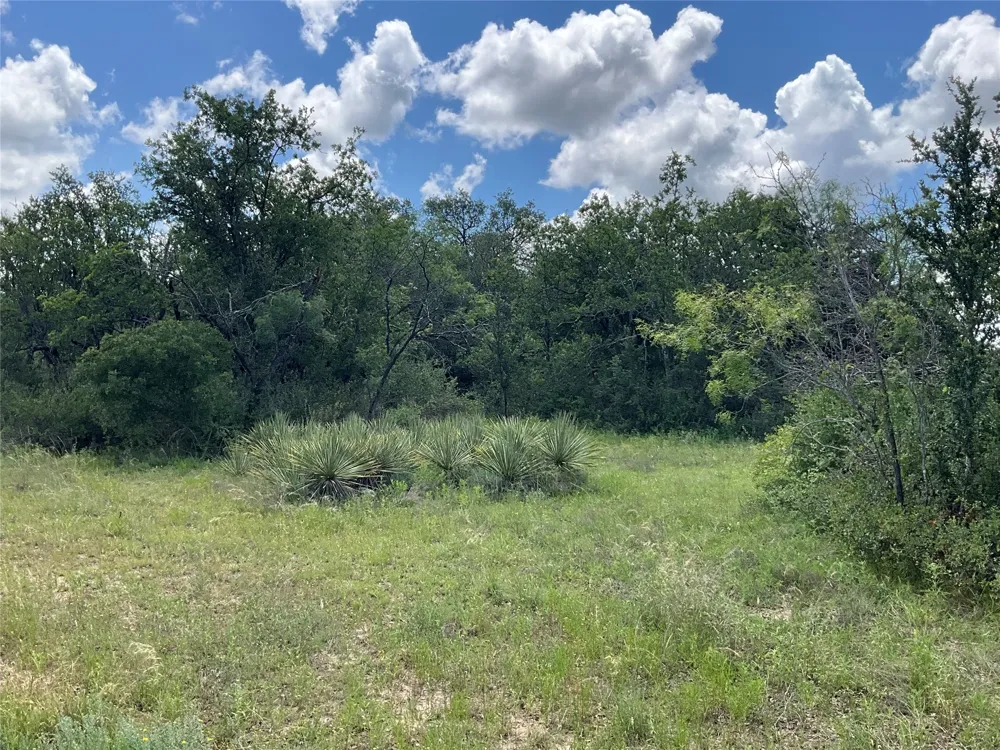 W FM 2486 Gustine, TX 76455