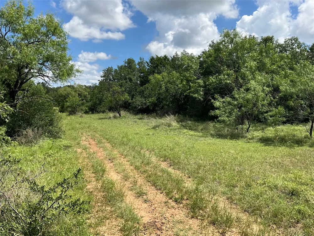 W FM 2486 Gustine, TX 76455