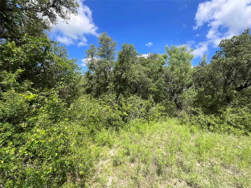 W FM 2486 Gustine, TX 76455