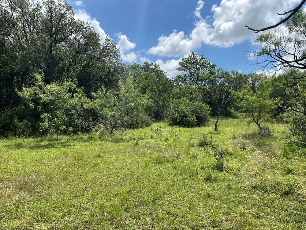 W FM 2486 Gustine, TX 76455