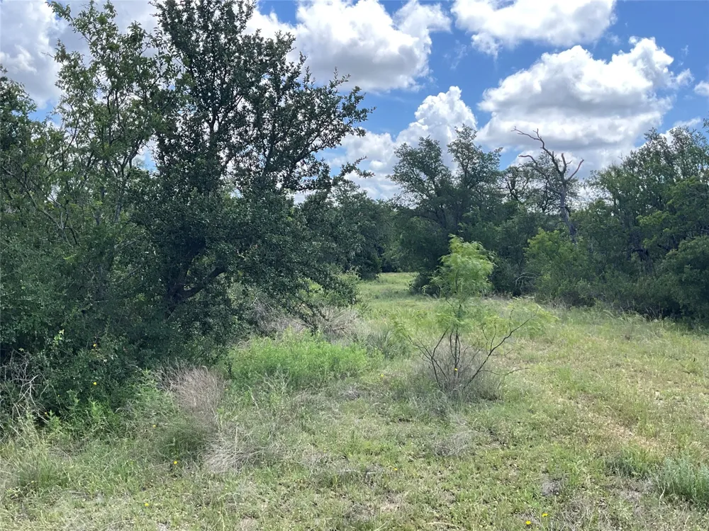 W FM 2486 Gustine, TX 76455