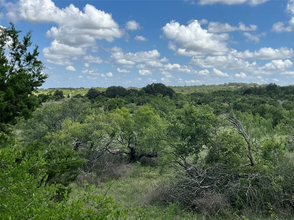 W FM 2486 Gustine, TX 76455