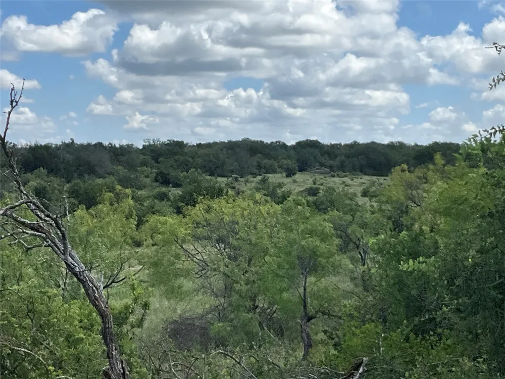 W FM 2486 Gustine, TX 76455