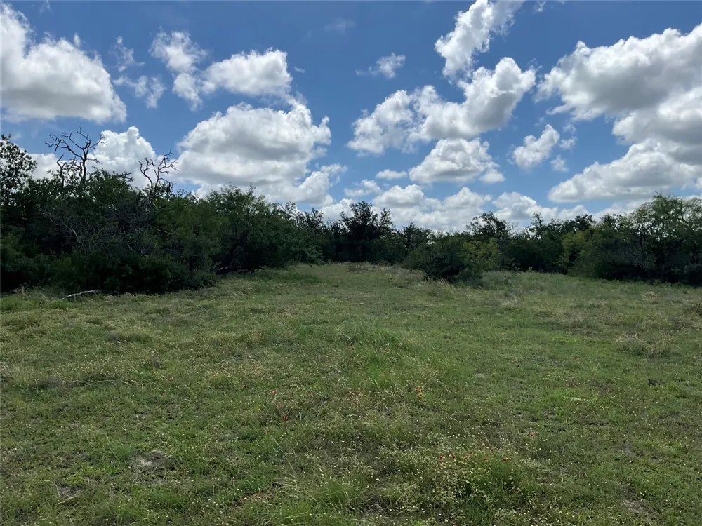 W FM 2486 Gustine, TX 76455