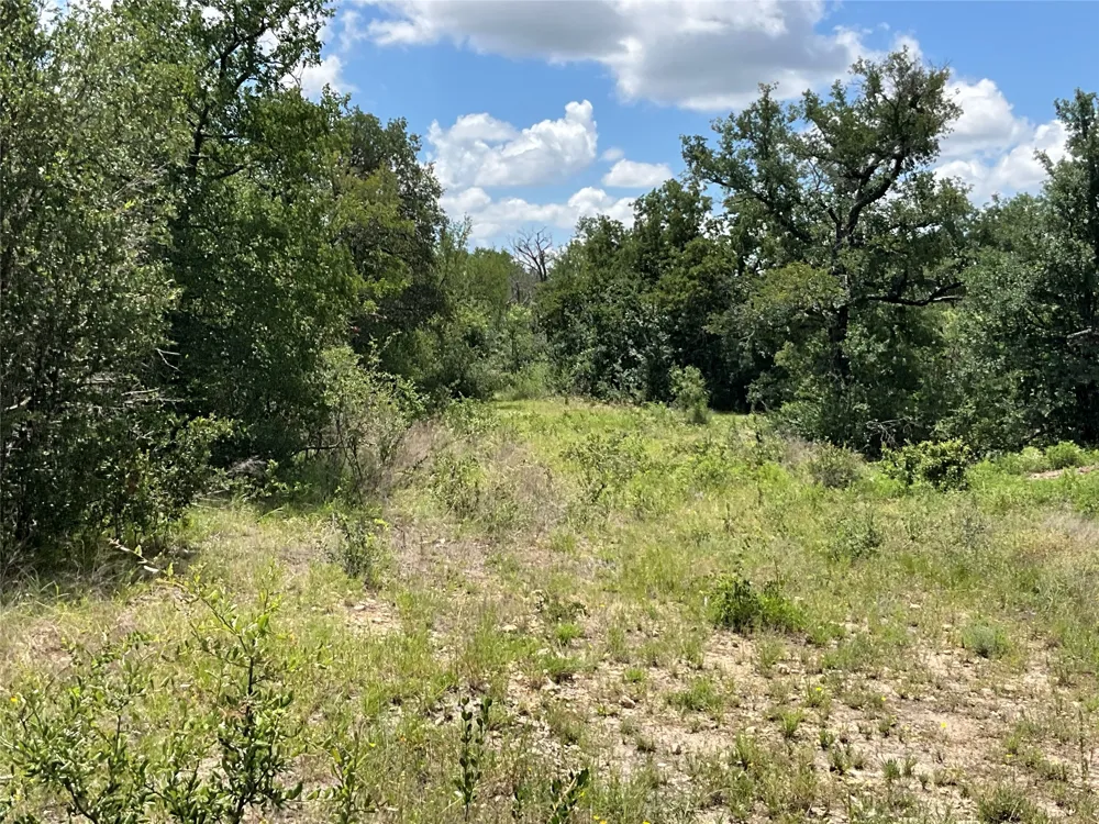 W FM 2486 Gustine, TX 76455
