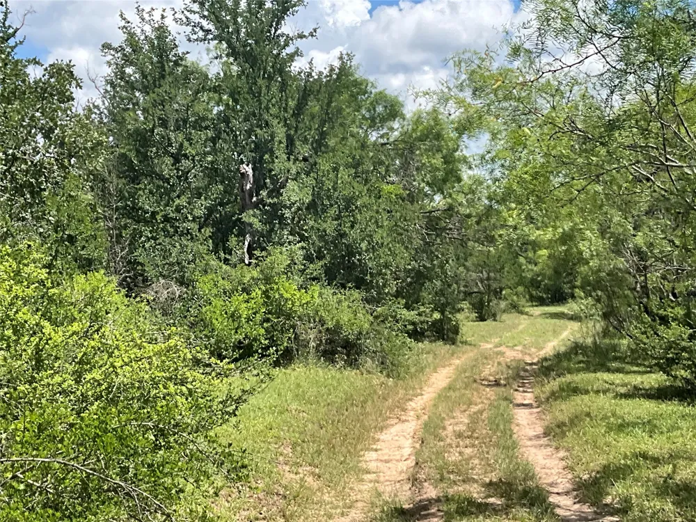W FM 2486 Gustine, TX 76455