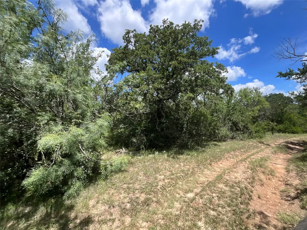 W FM 2486 Gustine, TX 76455