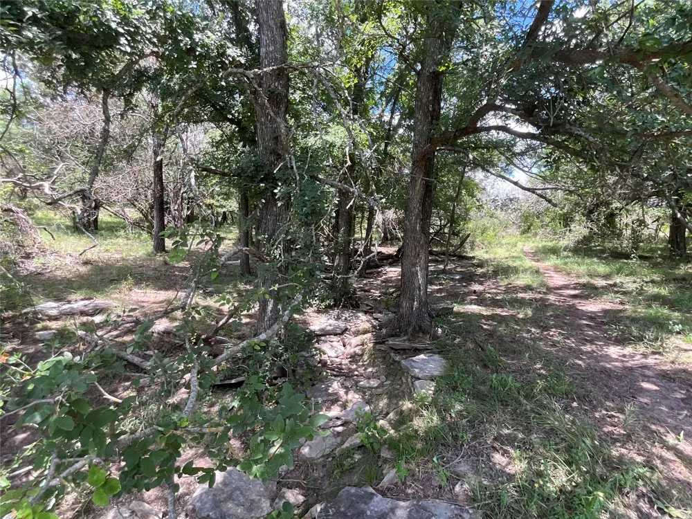 W FM 2486 Gustine, TX 76455