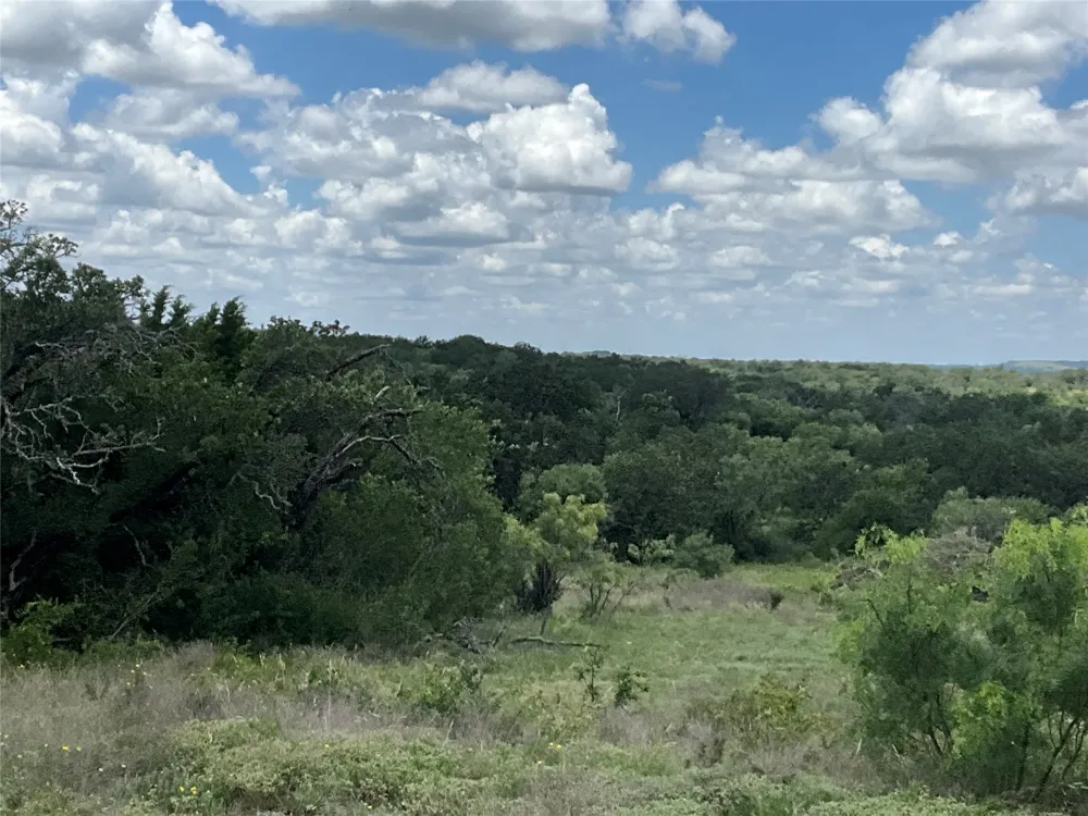 W FM 2486 Gustine, TX 76455