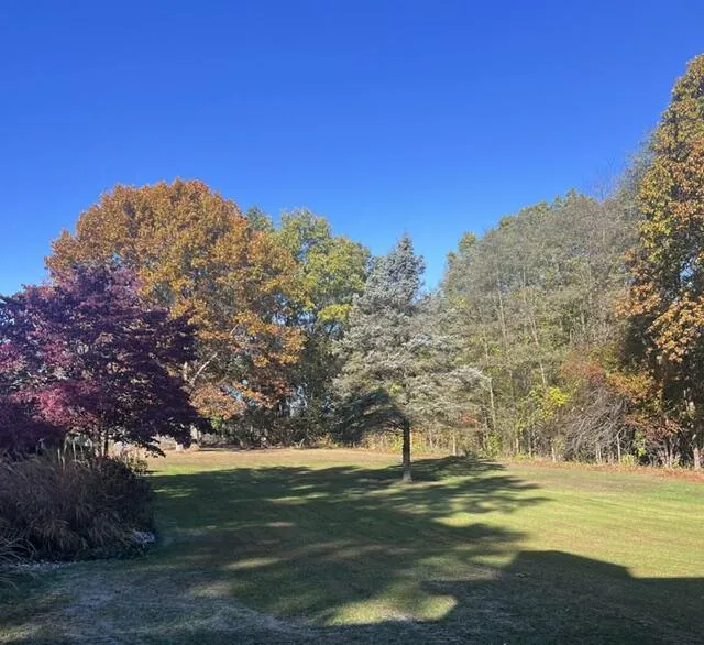 18610 M 86 Lockport Township, MI 49093