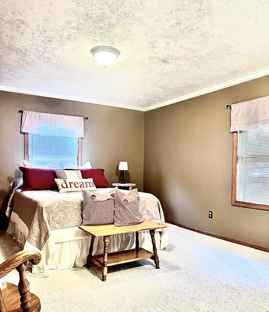 18610 M 86 Lockport Township, MI 49093