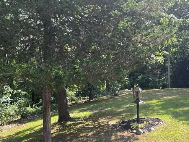 18610 M 86 Lockport Township, MI 49093