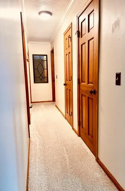 18610 M 86 Lockport Township, MI 49093