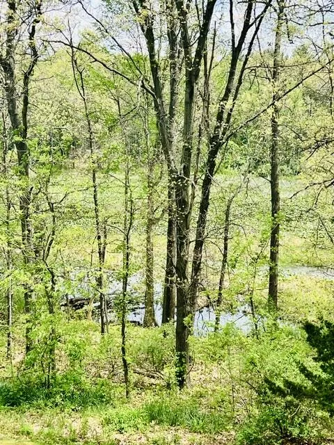 18610 M 86 Lockport Township, MI 49093