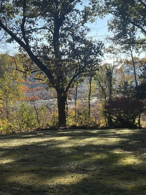 18610 M 86 Lockport Township, MI 49093