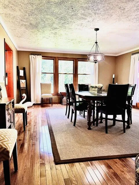 18610 M 86 Lockport Township, MI 49093