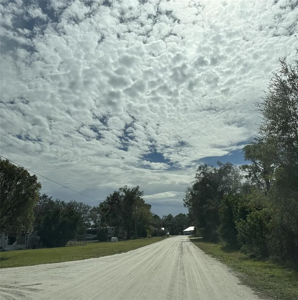 224 Brant Avenue Sebring, FL 33870