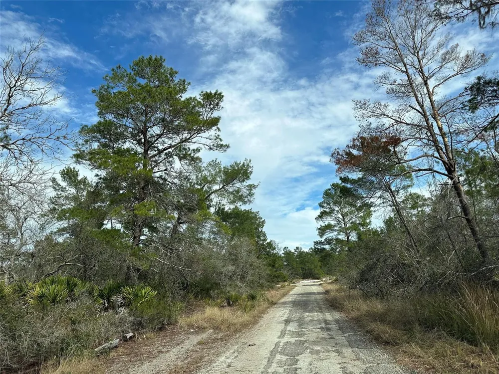 4508 Briarcliff Avenue Sebring, FL 33875