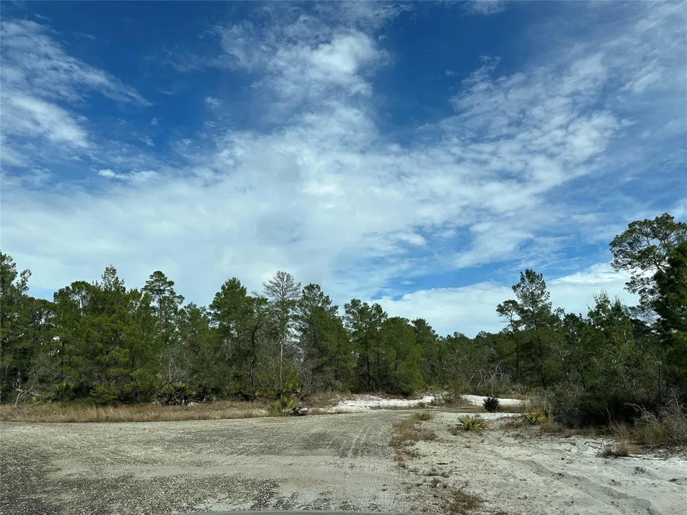 4508 Briarcliff Avenue Sebring, FL 33875