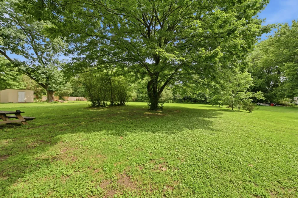 113 White St Martin, TN 38237