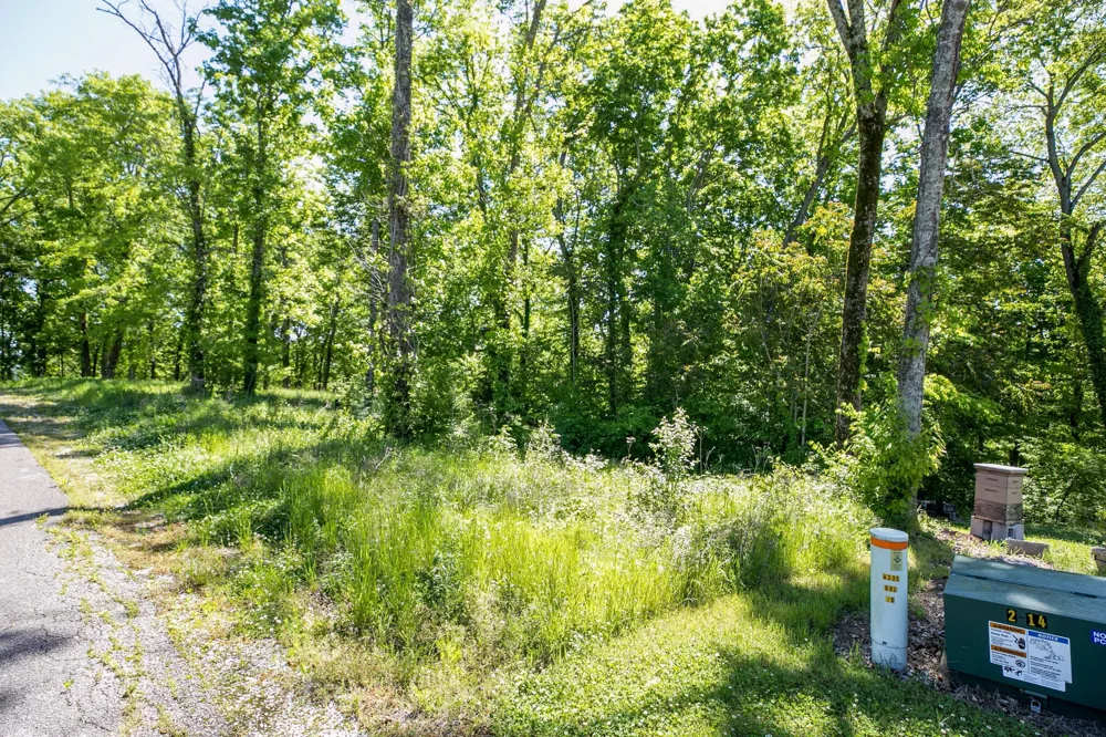 500 Maury Ln Smithville, TN 37166