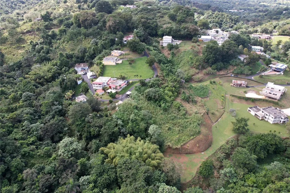 PR 568 KM 28.5 SECTOR EL LIMON PADILLA Corozal, PR 00783