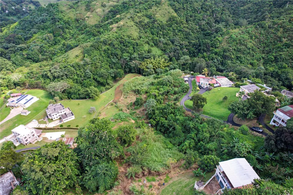 PR 568 KM 28.5 SECTOR EL LIMON PADILLA Corozal, PR 00783