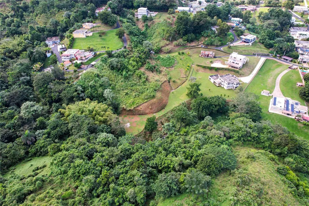 PR 568 KM 28.5 SECTOR EL LIMON PADILLA Corozal, PR 00783