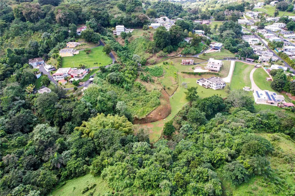 PR 568 KM 28.5 SECTOR EL LIMON PADILLA Corozal, PR 00783