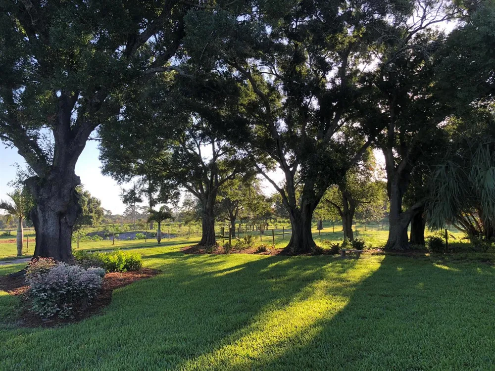 3605 Gordy Road Fort Pierce, FL 34945