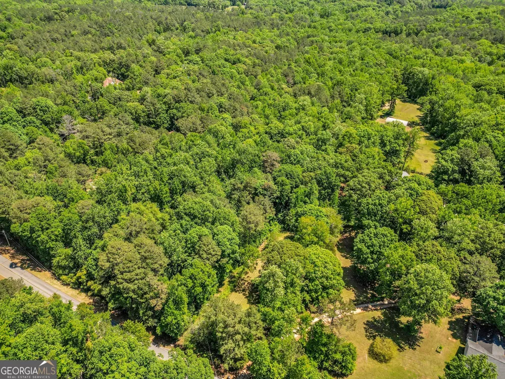 1136 Dolly Nixon RD Senoia, GA 30276