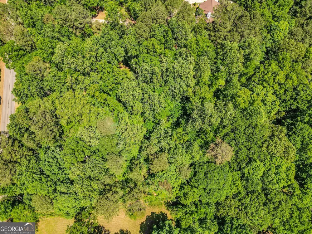 1136 Dolly Nixon RD Senoia, GA 30276