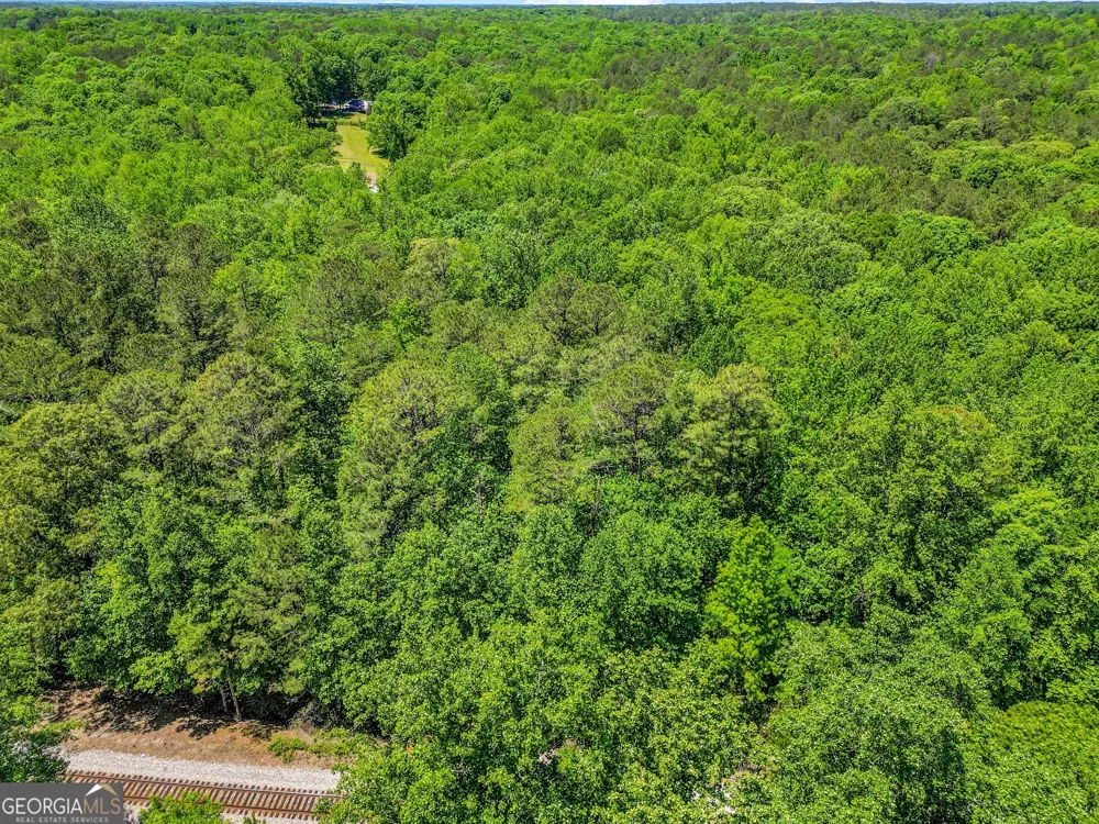 1136 Dolly Nixon RD Senoia, GA 30276