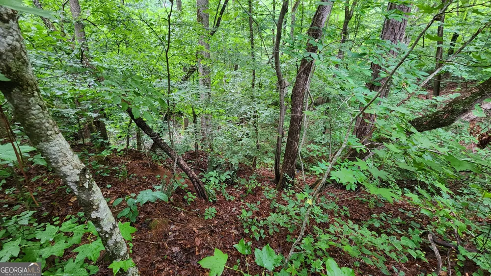 1136 Dolly Nixon RD Senoia, GA 30276