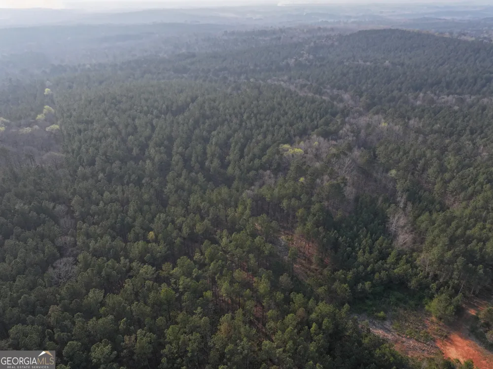 117 +/- Acres on McCosh Mill RD Franklin, GA 30217
