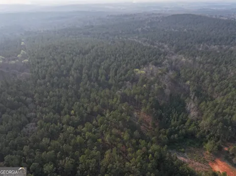 117 +/- Acres on McCosh Mill RD