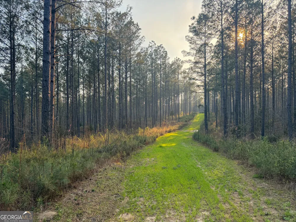 117 +/- Acres on McCosh Mill RD Franklin, GA 30217