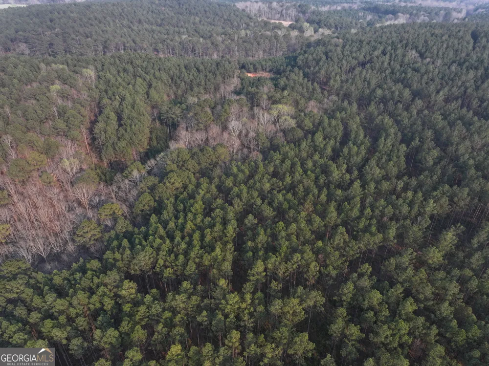 117 +/- Acres on McCosh Mill RD Franklin, GA 30217