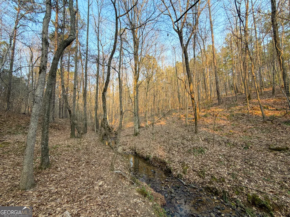 117 +/- Acres on McCosh Mill RD Franklin, GA 30217