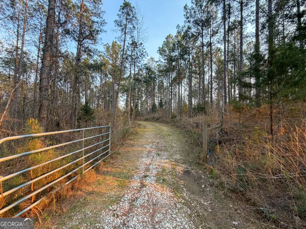 117 +/- Acres on McCosh Mill RD Franklin, GA 30217