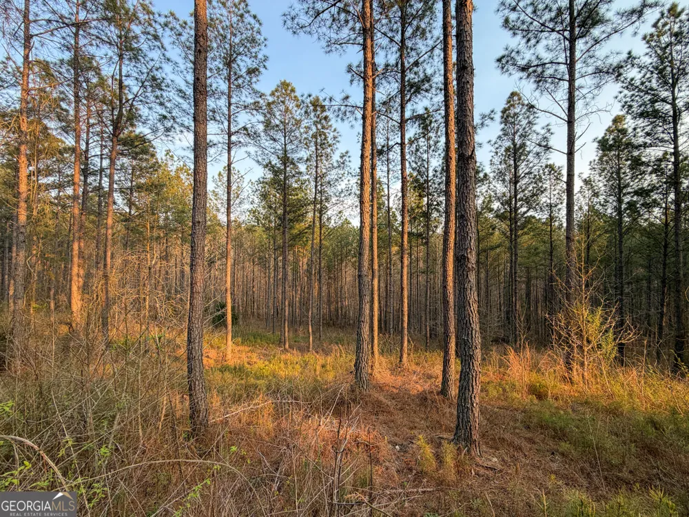 117 +/- Acres on McCosh Mill RD Franklin, GA 30217