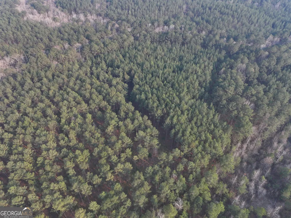 117 +/- Acres on McCosh Mill RD Franklin, GA 30217