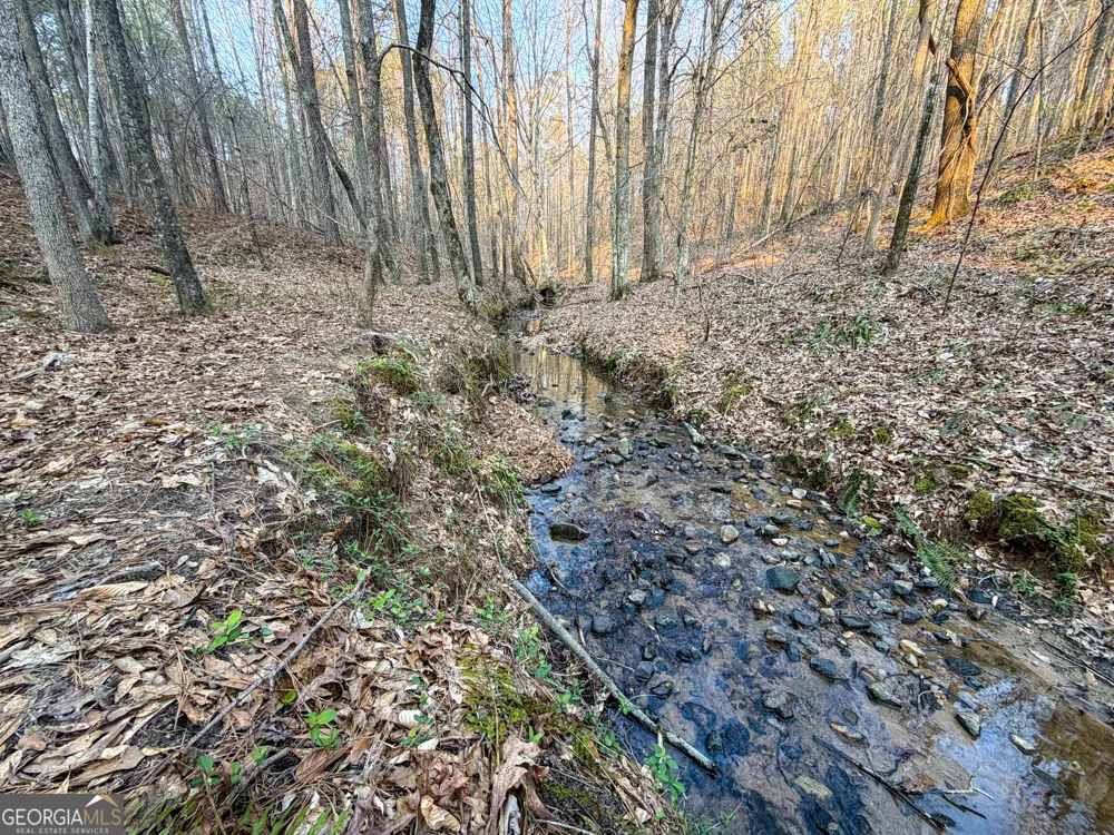 117 +/- Acres on McCosh Mill RD Franklin, GA 30217