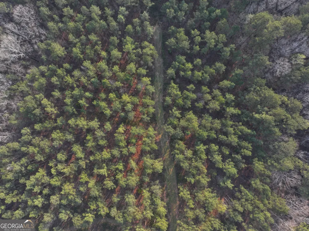 117 +/- Acres on McCosh Mill RD Franklin, GA 30217