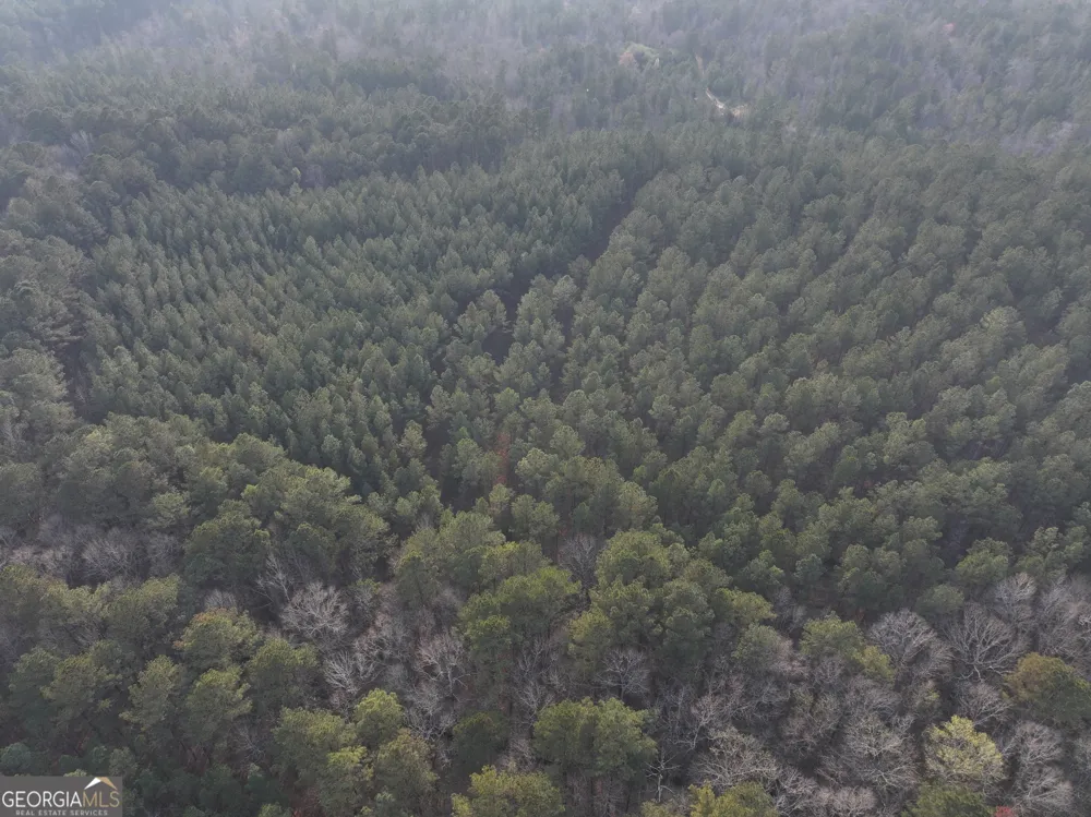117 +/- Acres on McCosh Mill RD Franklin, GA 30217