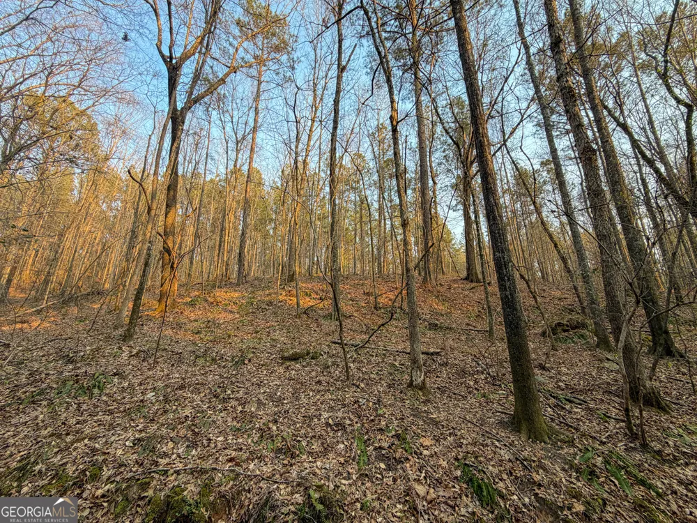 117 +/- Acres on McCosh Mill RD Franklin, GA 30217