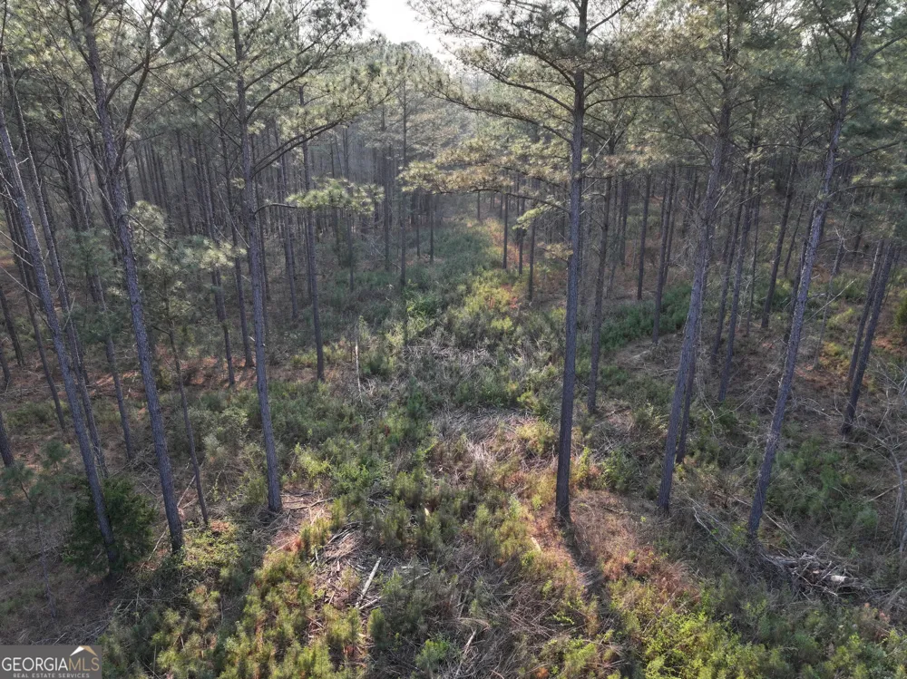 117 +/- Acres on McCosh Mill RD Franklin, GA 30217