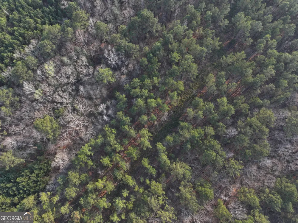 117 +/- Acres on McCosh Mill RD Franklin, GA 30217